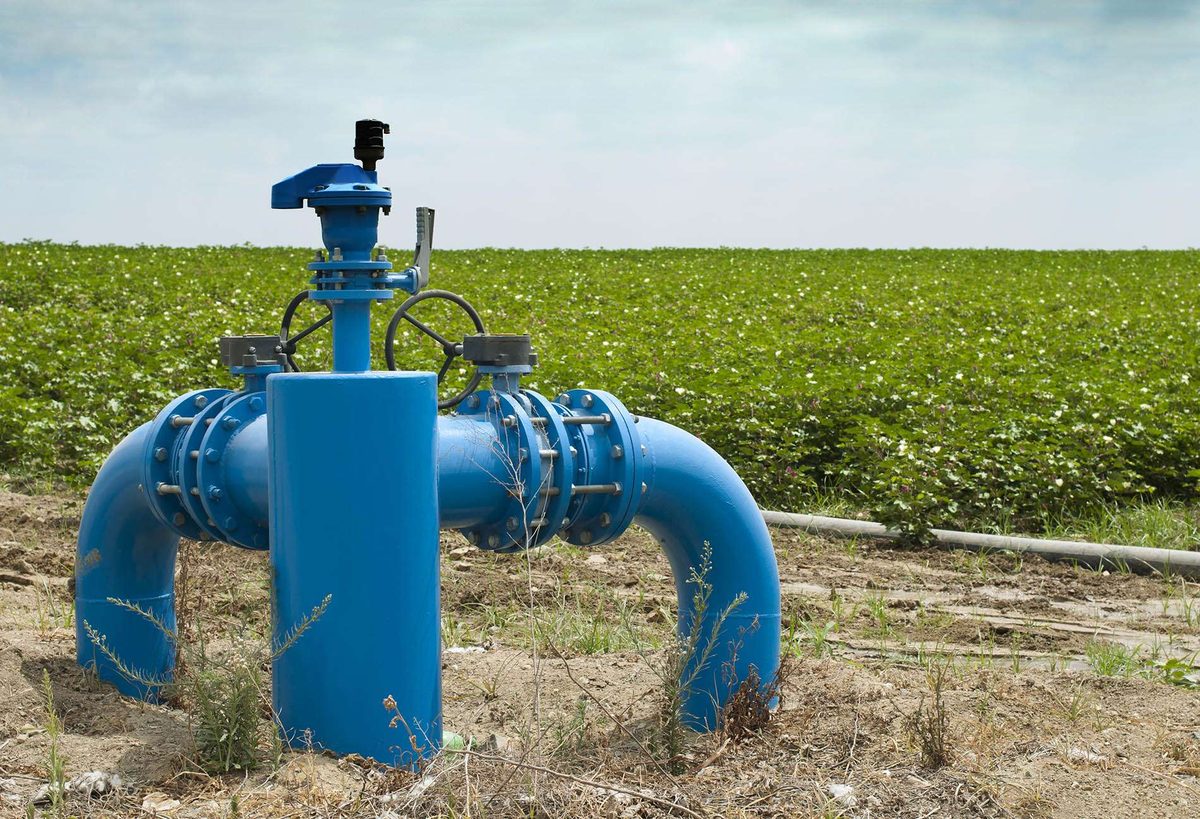A large blue water main with a valve and pipe bends standing above the ground beside a green crop field